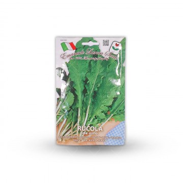 بذر سبزی راکولادا اورتو ایتالیایی