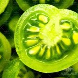 عکس کوچک بذر گوجه فرنگی سبز اوکراینی