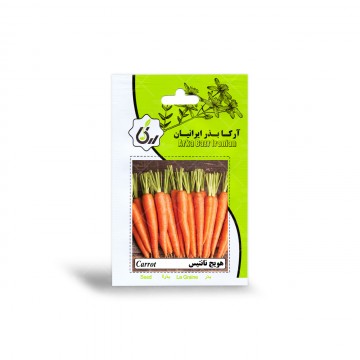 بذر هویج نانتیس آرکا بذر ایرانیان