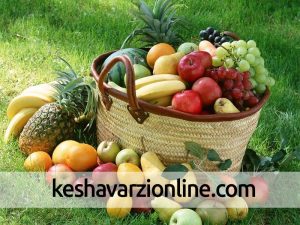 صادرات محورکردن محصولات باغی با انجام آموزش به باغداران کردستانی