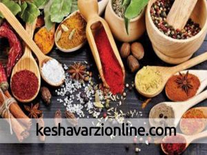 همکاری‌های ایران و آلمان در زمینه گیاهان دارویی گسترش می یابد