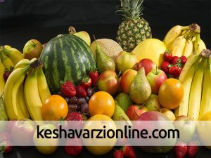 خرید تضمینی محصولات از بهترین راهکارها برای حمایت کشاورزان است