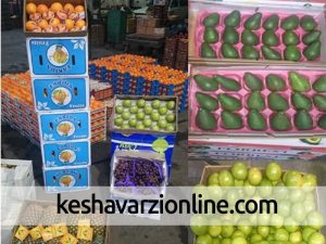 بازگشت دادن 265 تن کالای کشاورزی وارداتی از مرز آستارا