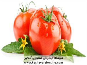 هفت عارضه و کمبود در گوجه فرنگی