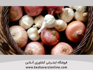 برنامه کامل غذایی سیر و پیاز