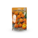 عکس کوچک بذر هویج نارنجی گرد ایتالیایی