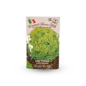 بذر کاهو فر سبز ایتالیایی