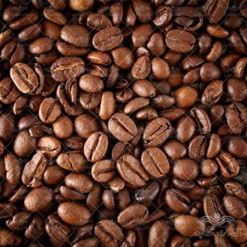 بذر قهوه عربی وانیاسید