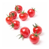 عکس کوچک بذر گوجه فرنگی گیلاسی عناب قرمز
