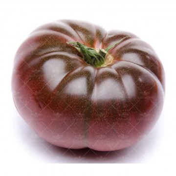 بذر گوجه فرنگی ارغوان کربن آمریکایی