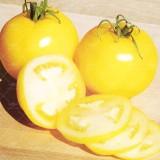 عکس کوچک بذر گوجه چری زرد درختی وانیاسید