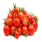 عکس کوچک بذر گوجه فرنگی قرمز بوته ای رویال وانیاسید
