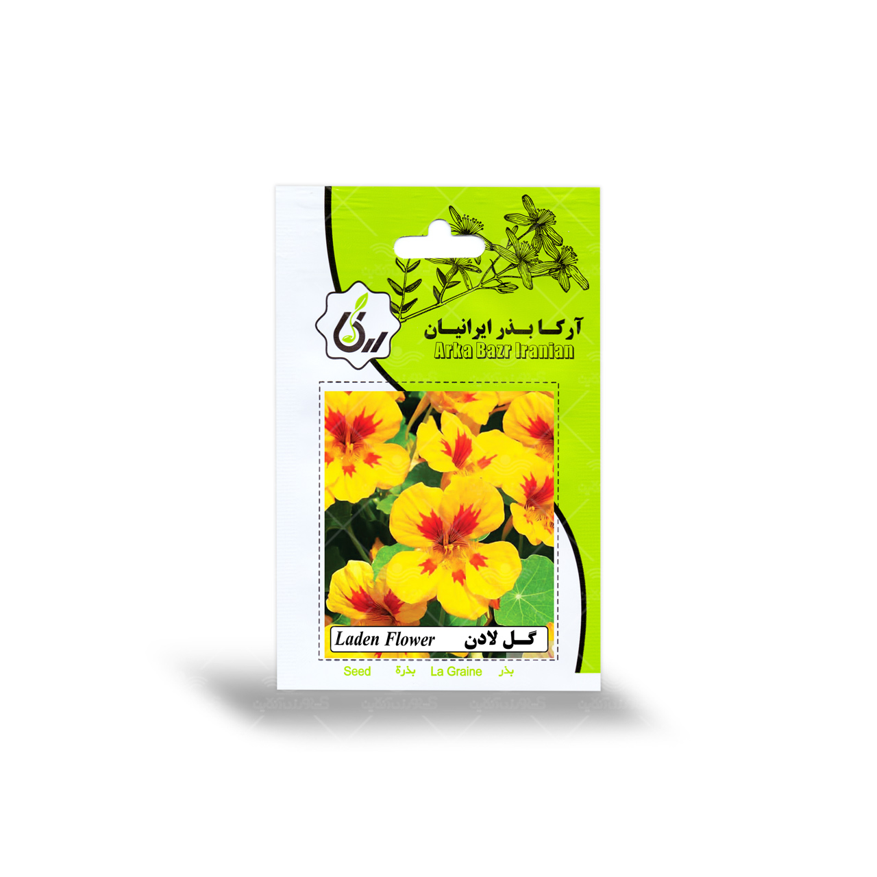 بذر گل لادن آرکا بذر ایرانیان