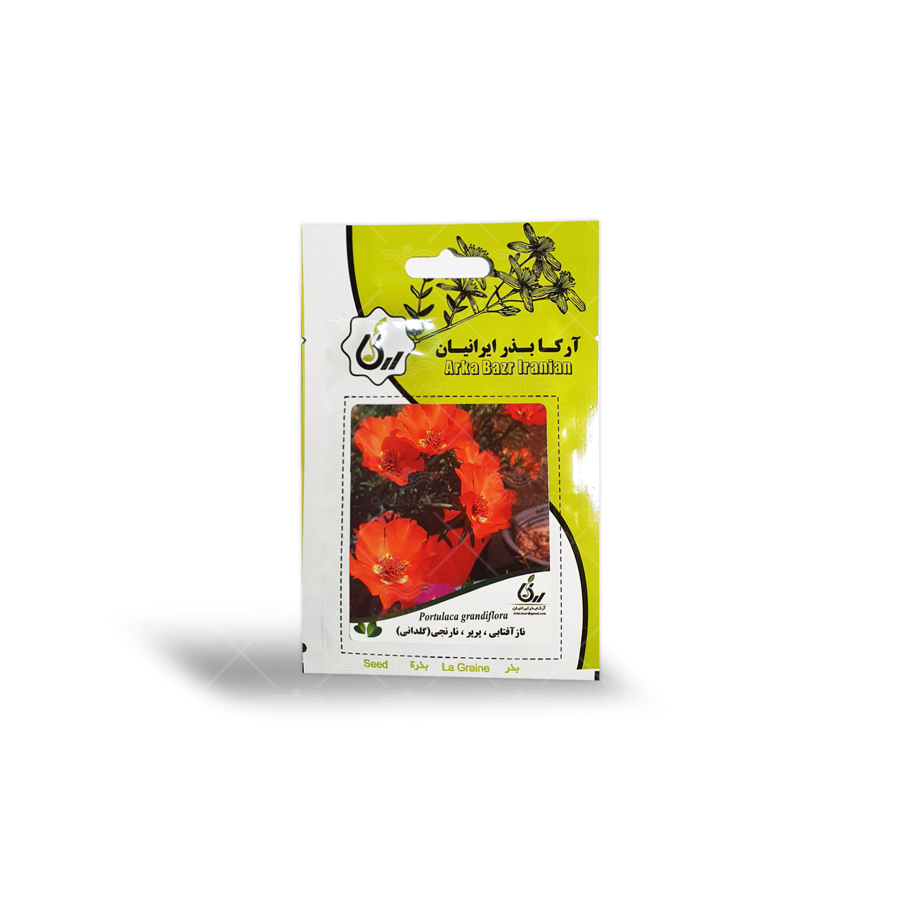 بذر گل ناز آفتابی پرپر نارنجی گلدانی آرکا بذر ایرانیان
