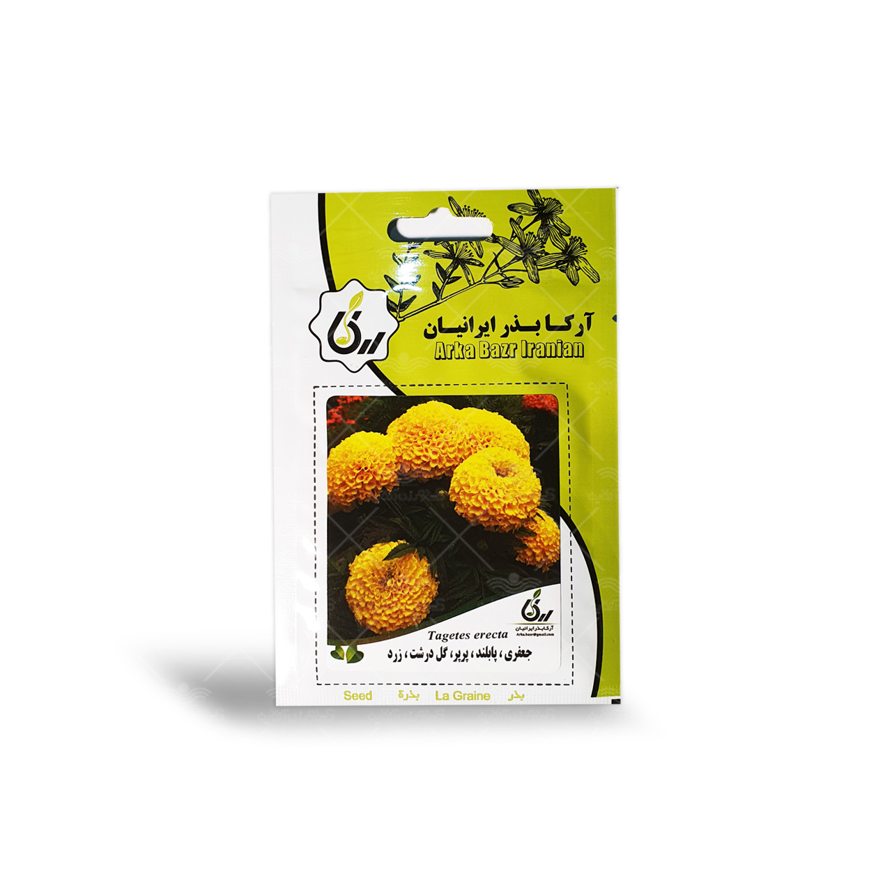بذر گل جعفری پابلند پرپر گل درشت زرد آرکا بذر ایرانیان 1