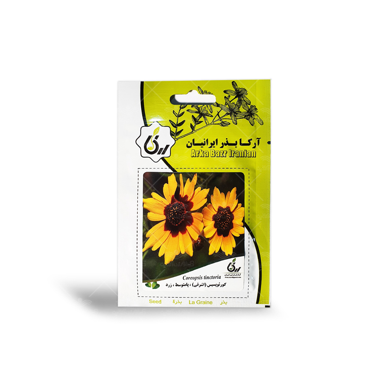 بذر گل کورئوپسیس اشرفی پامتوسط زرد آرکا بذر ایرانیان