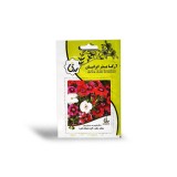 عکس کوچک بذر گل میخک پا بلند الوان آرکا بذر ایرانیان