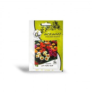 بذر گل گازانیا پاکوتاه الوان آرکا بذر ایرانیان