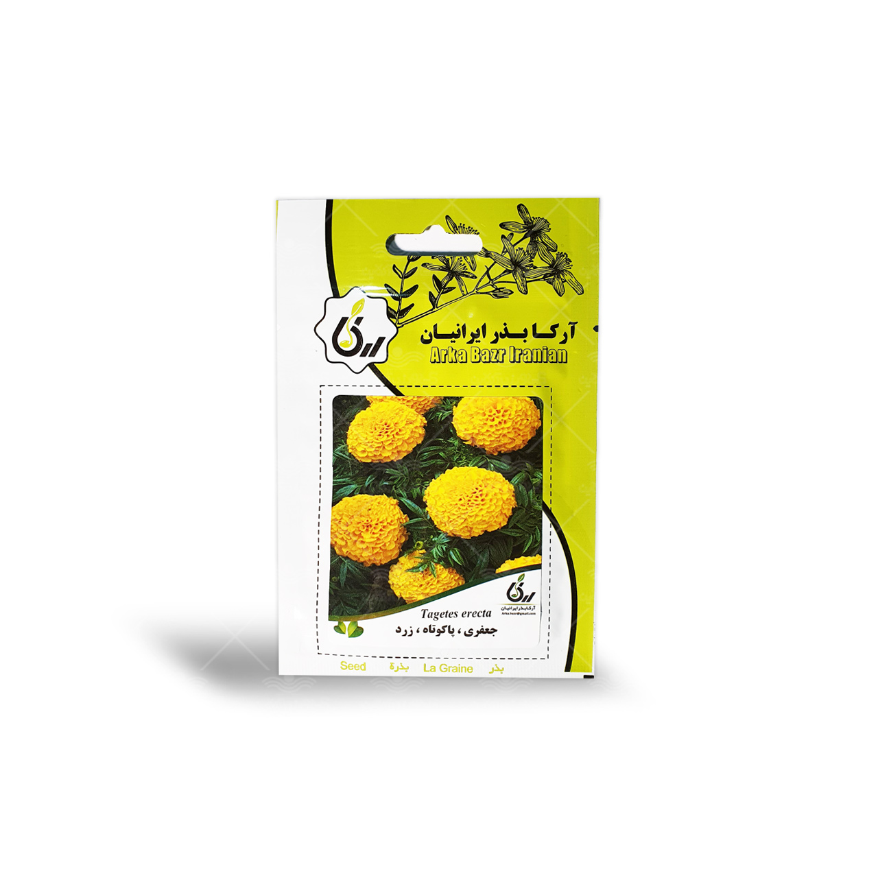 بذر گل جعفری پاکوتاه زرد آرکا بذر ایرانیان 1