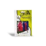 عکس کوچک بذر گل زبان در قفا پا بلند الوان آرکا بذر ایرانیان