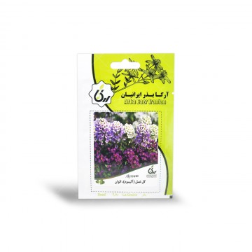 بذر گل عسل الوان آرکا بذر ایرانیان