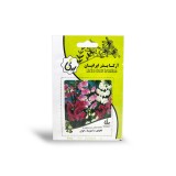 عکس کوچک بذر گل نخودی پا متوسط الوان آرکا بذر ایرانیان