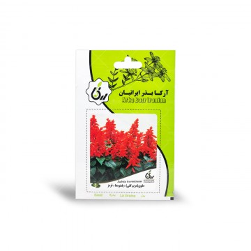 بذر گل سلوی پا متوسط قرمز آرکا بذر ایرانیان