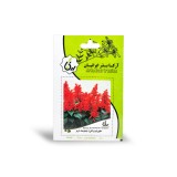 عکس کوچک بذر گل سلوی پا متوسط قرمز آرکا بذر ایرانیان
