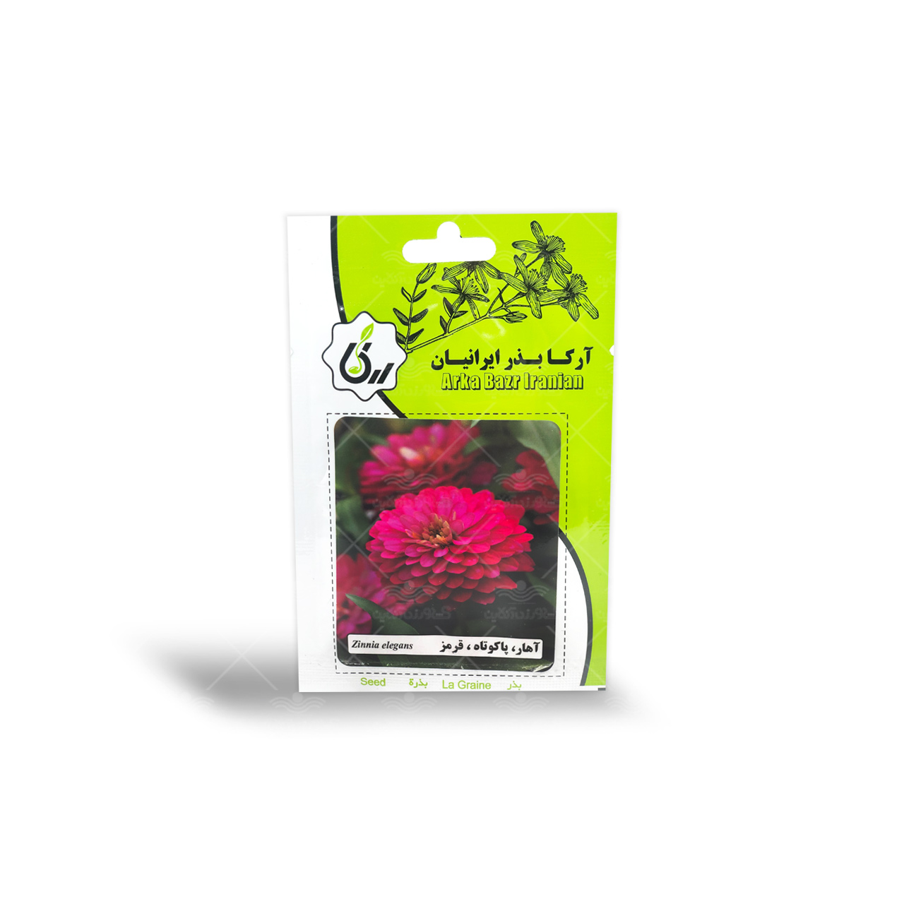 بذر گل آهار پاکوتاه قرمز آرکا بذر ایرانیان