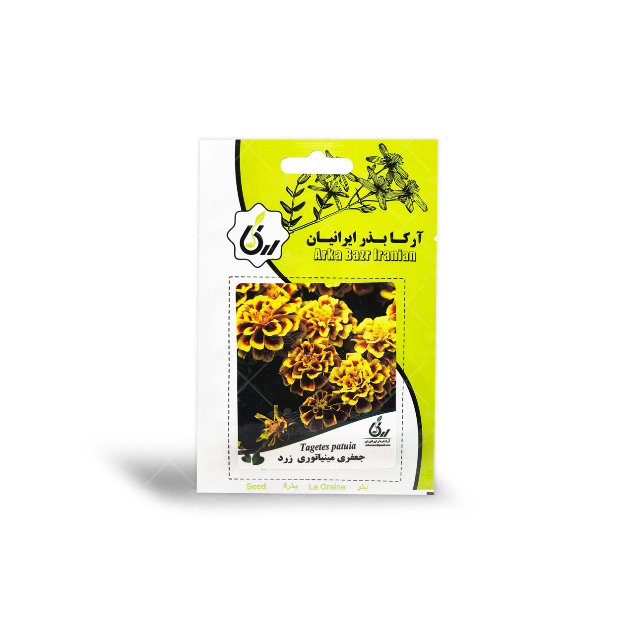 بذر جعفری مینیاتوری زرد آرکا بذر ایرانیان 1