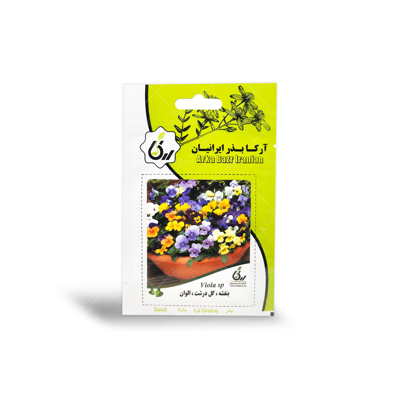 بذر گل بنفشه گل درشت الوان آرکا بذر ایرانیان