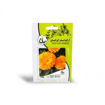بذر گل همیشه بهار پاکوتاه زرد آرکا بذر ایرانیان