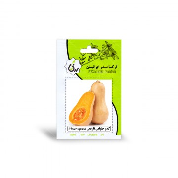 بذر کدو حلوایی نارنجی آرکا بذر ایرانیان