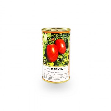 بذر گوجه مارول اسپانیا