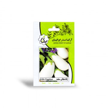بذر بادمجان سفید آرکا بذر ایرانیان
