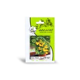 عکس کوچک بذر گوجه گیلاسی زرد آرکا بذر ایرانیان