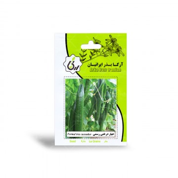 بذر خیار درختی رسمی آرکا بذر ایرانیان