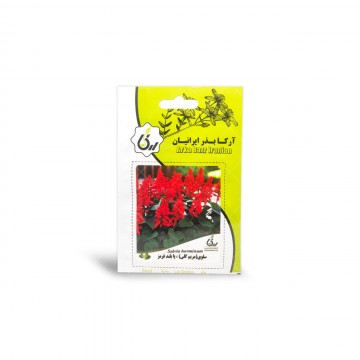 بذر سلوی پا بلند قرمز آرکا بذر ایرانیان