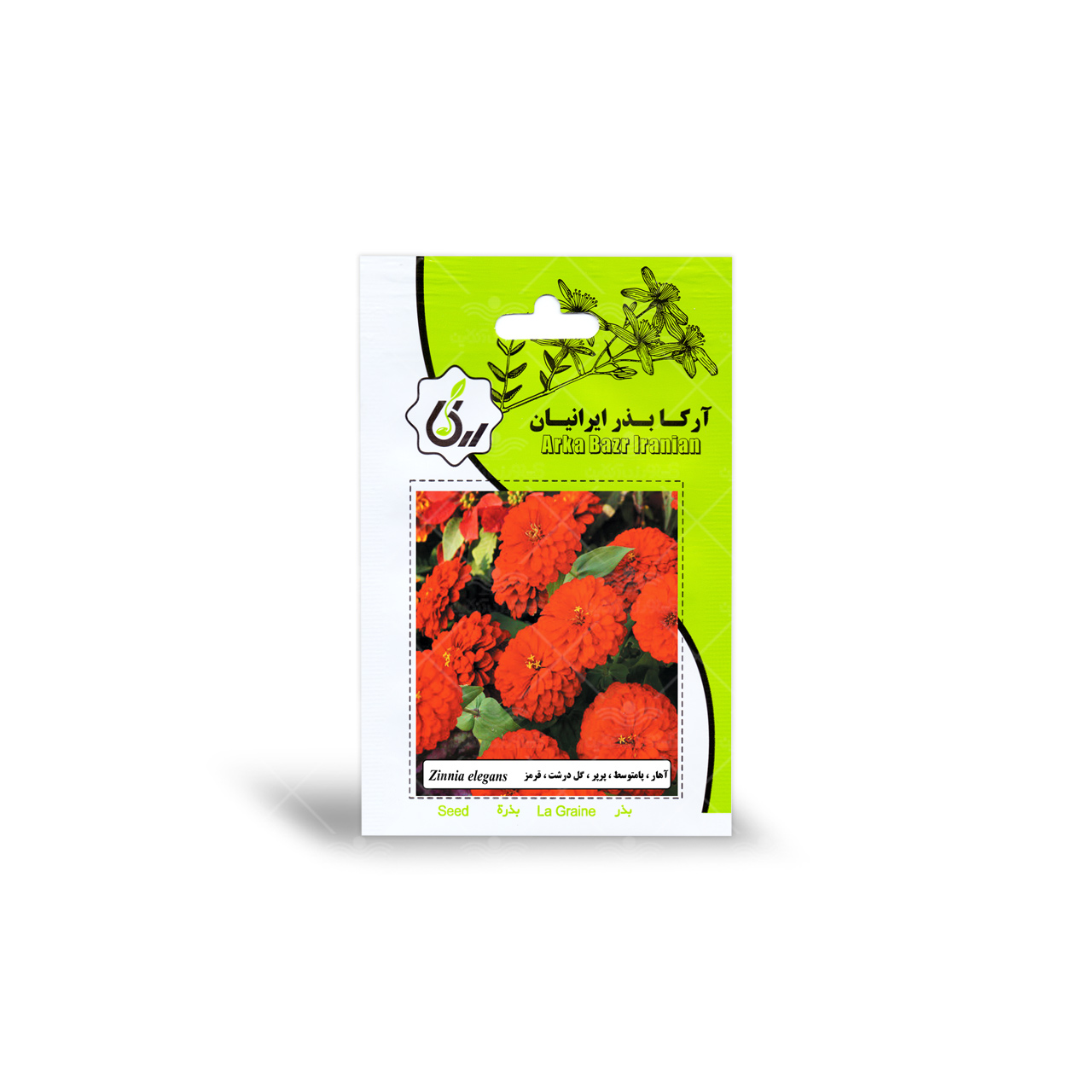 بذر آهار پامتوسط پرپر گل درشت قرمز آرکا بذر ایرانیان