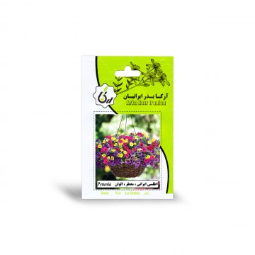 بذر اطلسی ایرانی معطر الوان آرکا بذر ایرانیان