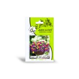 عکس کوچک بذر اطلسی ایرانی معطر الوان آرکا بذر ایرانیان