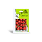 عکس کوچک بذر گوجه گلابی قرمز آرکا بذر ایرانیان