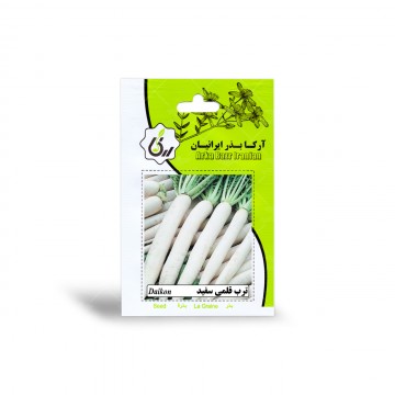 بذر ترب قلمی سفید آرکا بذر ایرانیان