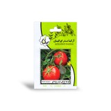 عکس کوچک بذر گوجه فرنگی قرمز بوته ای آرکا بذر ایرانیان