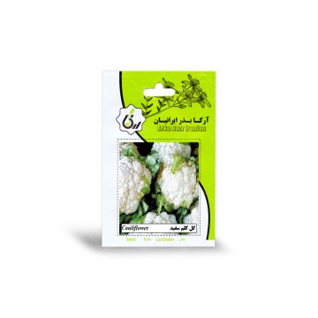 بذر گل کلم سفید آرکا بذر ایرانیان