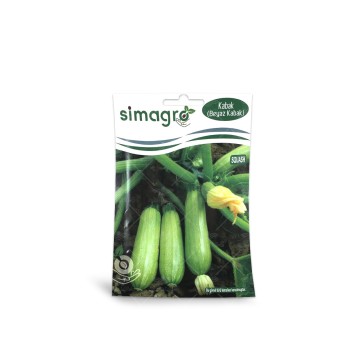 بذر کدو خورشتی سبز روشن ترک 10 گرمی simagro