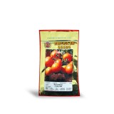 عکس کوچک بذر گوجه فرنگی گلخانه ای راکستون