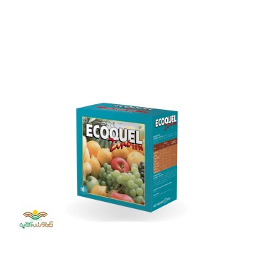 کود ریزمغذی اکوکوئل زینک فیوچرکو اسپانیا یک کیلویی