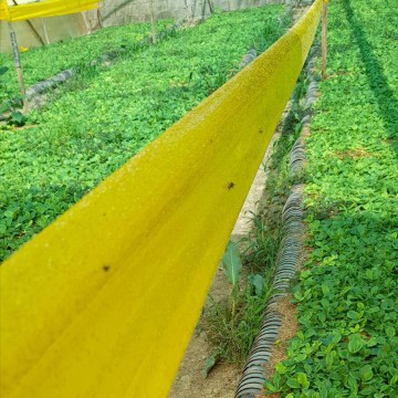 رول زرد 30 سانتی رها اندیش کاوان