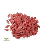 عکس کوچک بذر خیار زمینی هانا خانگی